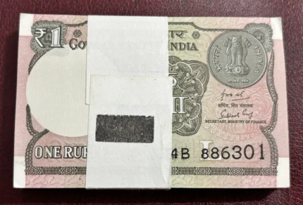 1 Rupee 2019 Subhash Garg Signed 100 Notes Bundle