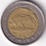South Africa 2010 5 Rand Wildebeest Coin